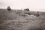 Asisbiz Messerschmitt Bf 109F2 5.JG53 Black 4 belly landed Russia 1942 ebay2