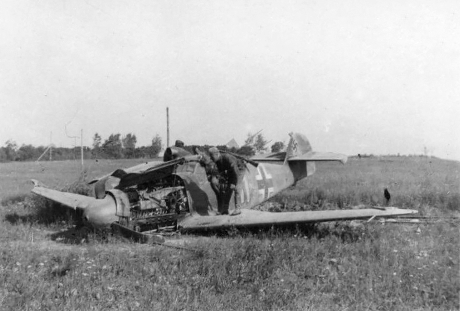 Messerschmitt Bf 109F2 3.JG54 Yellow 11 belly landed Russia 1942 ebay1