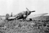 Asisbiz Messerschmitt Bf 109F4 5.JG77 Black 5 Anton Hackl Crimea Russia Jul 1942 01