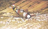 Asisbiz Messerschmitt Bf 109F4 RHAF experimental camouflage scheme 01