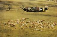 Asisbiz Messerschmitt Bf 109F4 RHAF experimental camouflage scheme 02