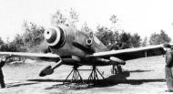 Asisbiz Messerschmitt Bf 109G10 Erla ANR 1Gr3Sqa 3 5 Cesare Marchesi WNr 491407 Italy 14th Mar 1945 05
