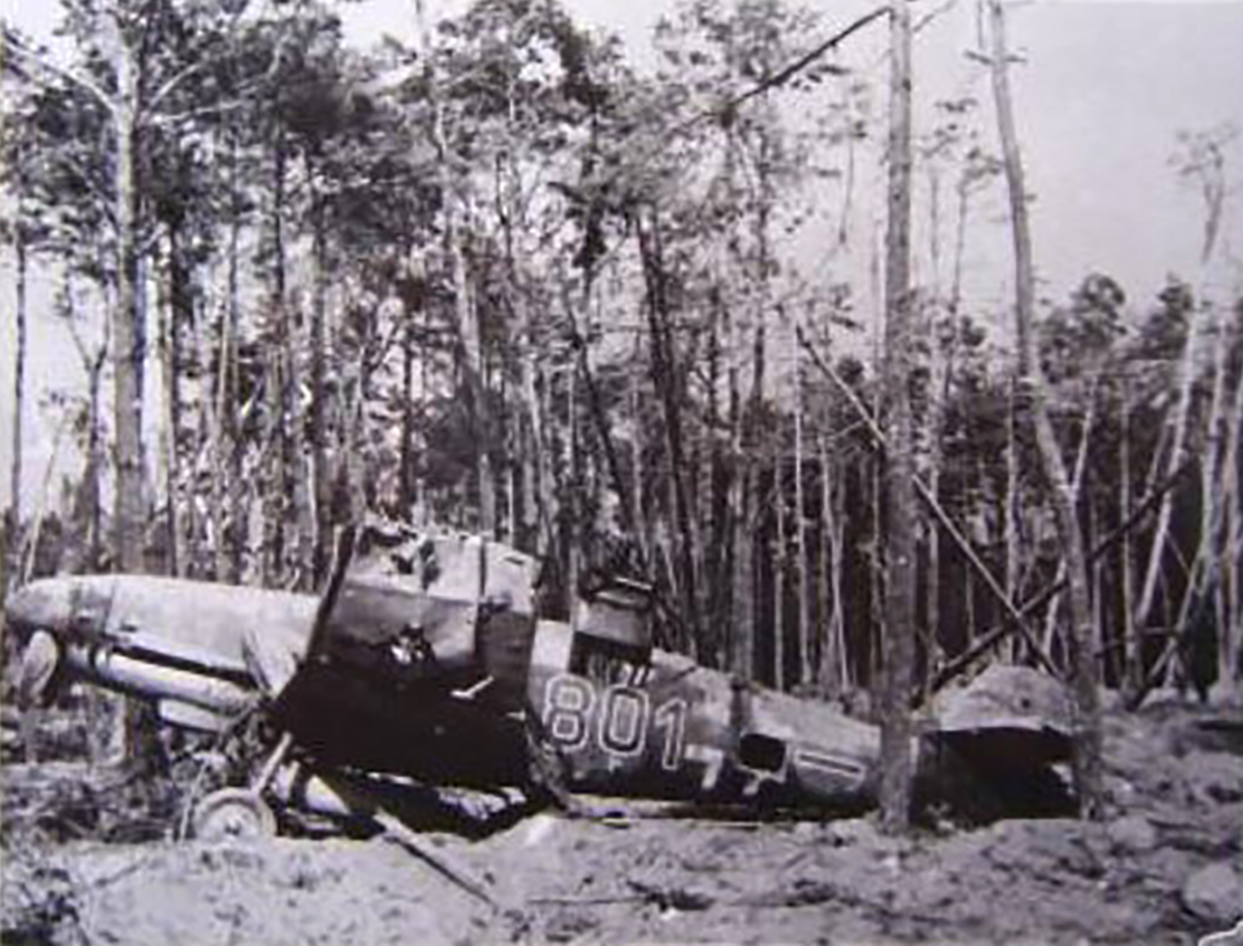 Messerschmitt Bf 109G12 6.JG104 Black 801 destroyed during a air raid at Roth 8th April 1945 ebay1