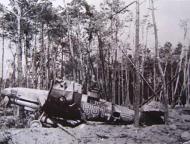 Asisbiz Messerschmitt Bf 109G12 6.JG104 Black 801 destroyed during a air raid at Roth 8th April 1945 ebay1