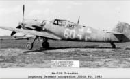 Asisbiz Messerschmitt Bf 109G12 Yellow 60 Gablingen Germany May 1945 Rittger 2007 P88