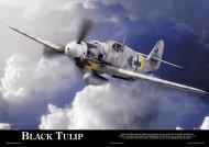 Asisbiz Artwork by aviationclassics titled Black Tulip 0A