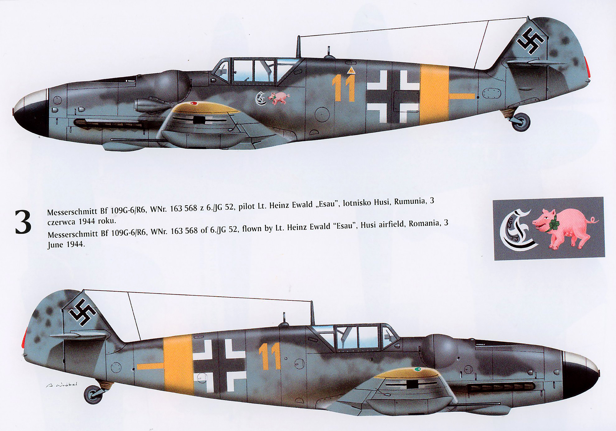 Asisbiz Messerschmitt Bf 109G6R6 6.JG52 Yellow 11 Heinz