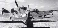 Asisbiz Messerschmitt Bf 109G2R3Trop 5.JG53 Black 2 Herbert Rollwage La Marsa Tunisia 1942 01