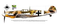 Asisbiz Messerschmitt Bf 109G4R3 3.JG53 Yellow 7 Wolfgang Tonne WNr 10795 Bizerta AF Tunisia 15th Feb 1943 0C