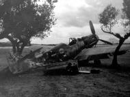Asisbiz Messerschmitt Bf 109G6Trop 4.JG53 White 6 WNr 15214 La Marsa Tunisia May 1943 02