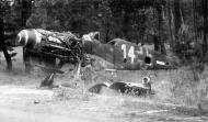 Asisbiz Messerschmitt Bf 109G10 Erla 4.JG53 White 14 WNr 786312 salvaged airframe Germany 1945 01