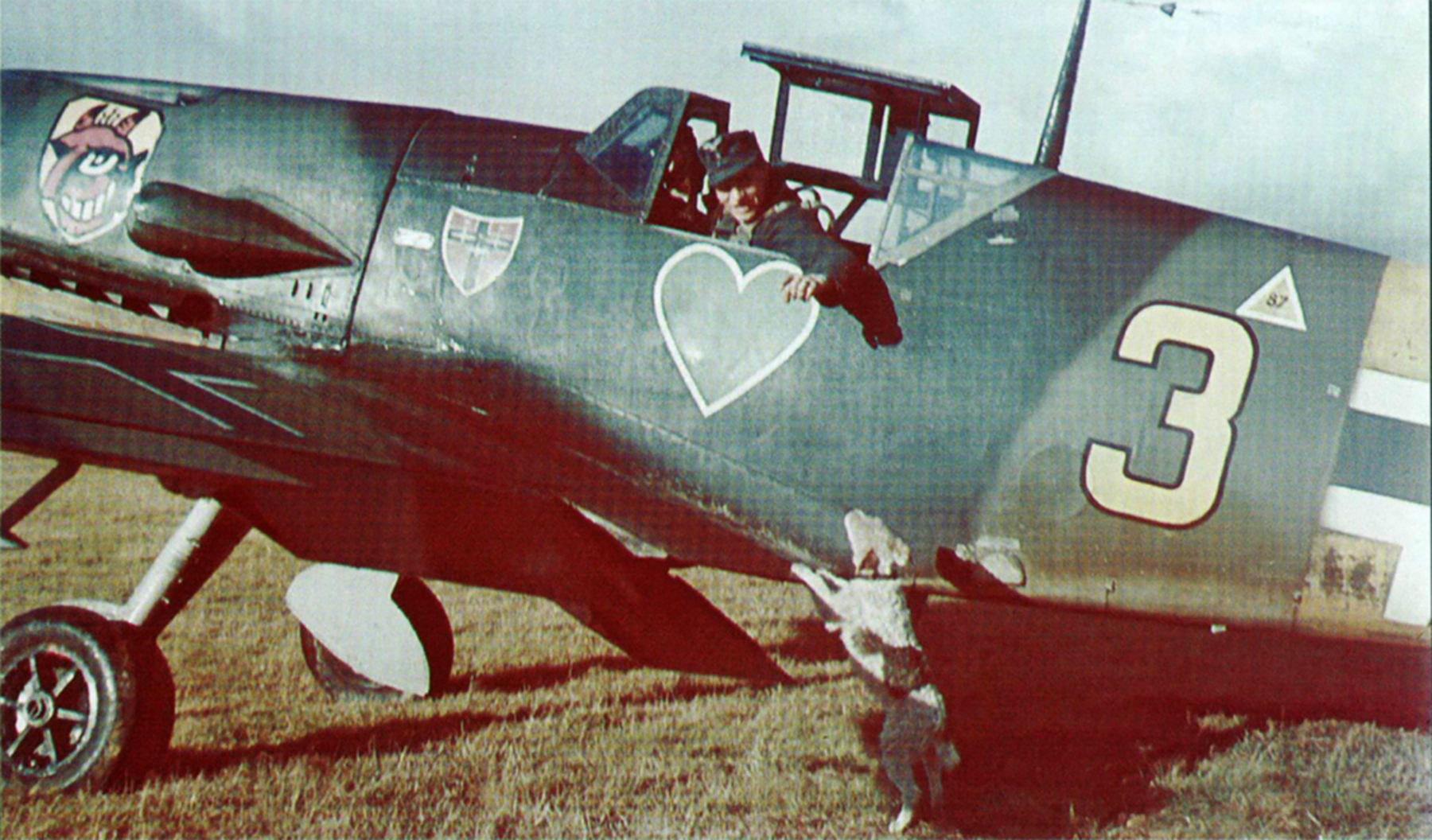 Messerschmitt Bf 109G2 9.JG54 Yellow 3 Wilhelm Schilling Krasnogvardeisk 1943 01