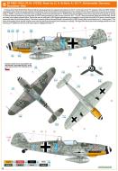 Asisbiz Messerschmitt Bf 109G14AS Erla 4.JG77 Blue 3 Horst Schlick WNr 512382 Schonwalde Germany 1944 0B