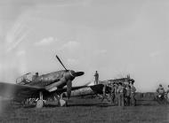 Asisbiz Messerschmitt Bf 109G14 Erla 2.NAG14 Black 17 WNr 463141 Furth Germany 8th May 1945 ebay2