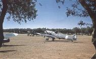 Asisbiz Messerschmitt Bf 109G4R6 RA 150Gr365Sqn White 365 1 WNr 19566 Sicily Italy 1943 01