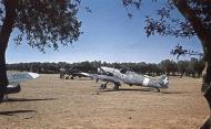 Asisbiz Messerschmitt Bf 109G4R6 RA 150Gr365Sqn White 365 1 WNr 19566 Sicily Italy 1943 02