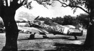 Asisbiz Messerschmitt Bf 109G6Trop RA 150Gr363Sqn White 363 7 Ugo Drago WNr 18421 Sicily Italy June 1943 01