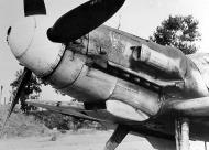 Asisbiz Messerschmitt Bf 109G6Trop RA 3 Gruppo Stkz SO+SS WNr 18065 Comiso 10th Jul 1943 02