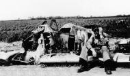 Asisbiz Messerschmitt Bf 109K4 11.JG77 White 12 Rolf Braband Bodenplatte 1945 01