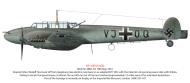 Asisbiz Messerschmitt Bf 110D Zerstorer Stkz VJ+OQ Rudolf Hess WNr 3869 Scotland May 1941 SAMI 2013 0A