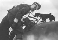 Asisbiz Aircrew Luftwaffe pilot Felix Maria Brandis Avions 172 page 51