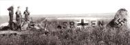 Asisbiz Messerschmitt Bf 110E1 Zerstorer 5.ZG1 S9+EN WNr 4054 force landed Russia 1942 01