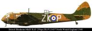 Asisbiz Artwork Bristol Blenheim IF RAF 25Sqn ZKP L1437 North Weald England 1940 0A