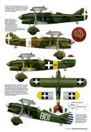 Asisbiz Fiat CR.32bis profiles by Model Airplane International Oct 2006 page 45