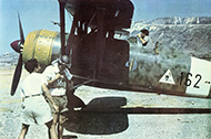 Asisbiz Fiat CR 42 Falco 161 Gruppo 162a SA 162 6 Maritza airﬁeld Greek Island of Rhodes 1941 02