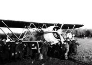 Asisbiz Fiat CR 42 Falco 18.JG56 18G56S85aSA moving a bogged fighter Ursel Belgium 1940 01