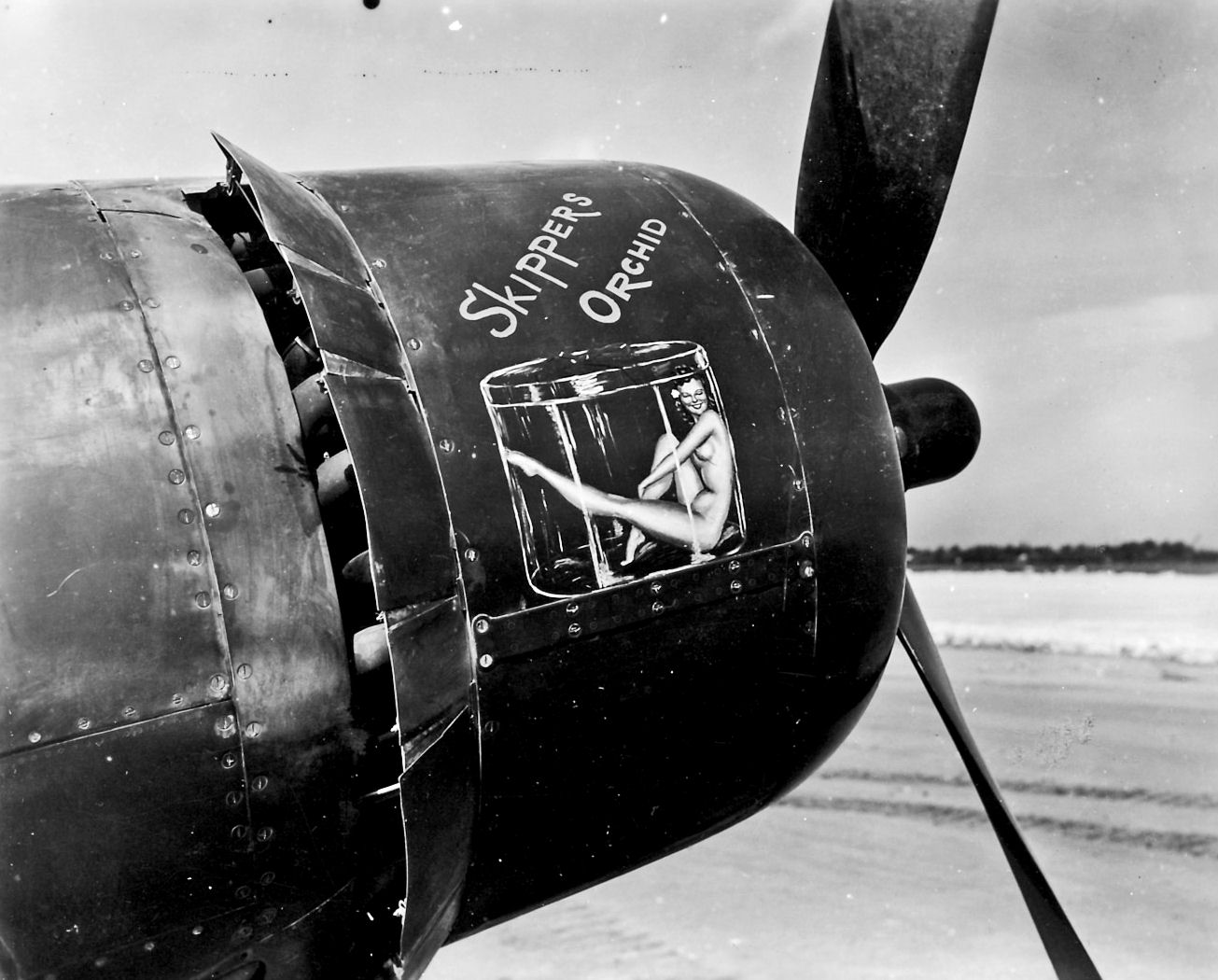 Vought F4U-1D Corsair MAG 22 HQSS 22 White 99 Skippers Orchid Ie Shima 1945 02