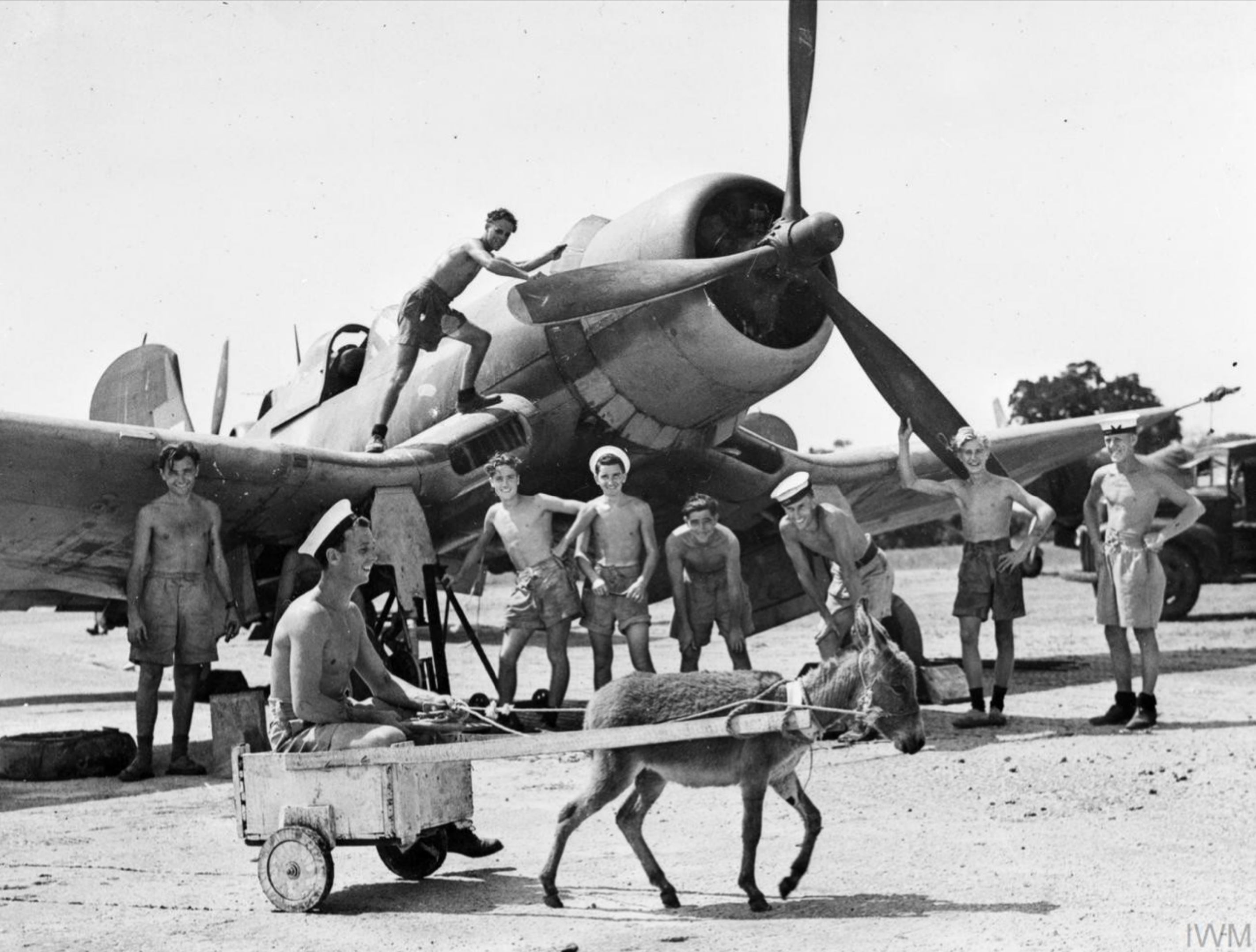 Fleet Air Arm Corsair at NAS HMS Rajalyia in Puttalam Ceylon Feb 1945 IWM A28062