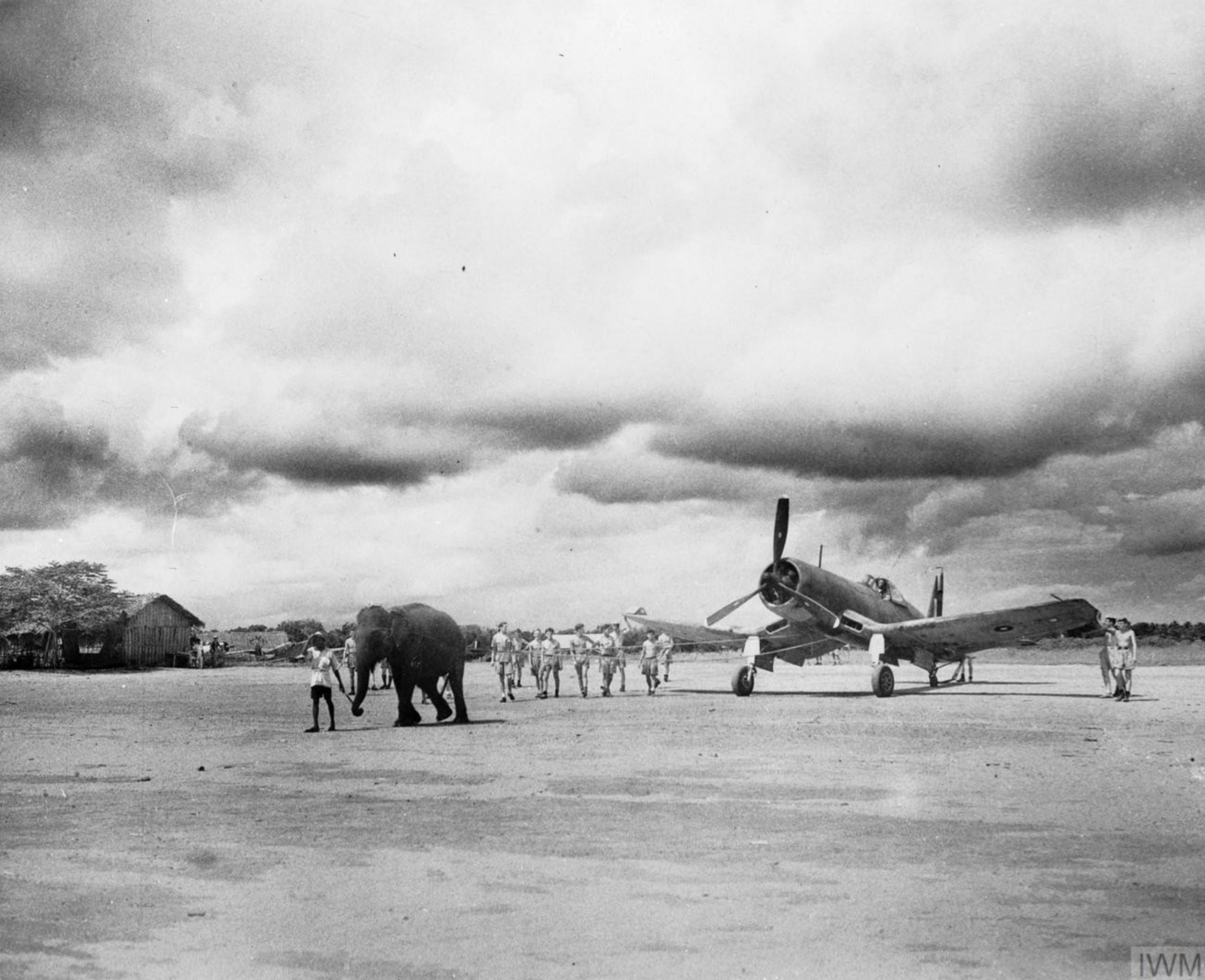 Fleet Air Arm NAS Puttalam where an elephant is put to use hauling aircraft and fuel June 1944 IWM A24292a