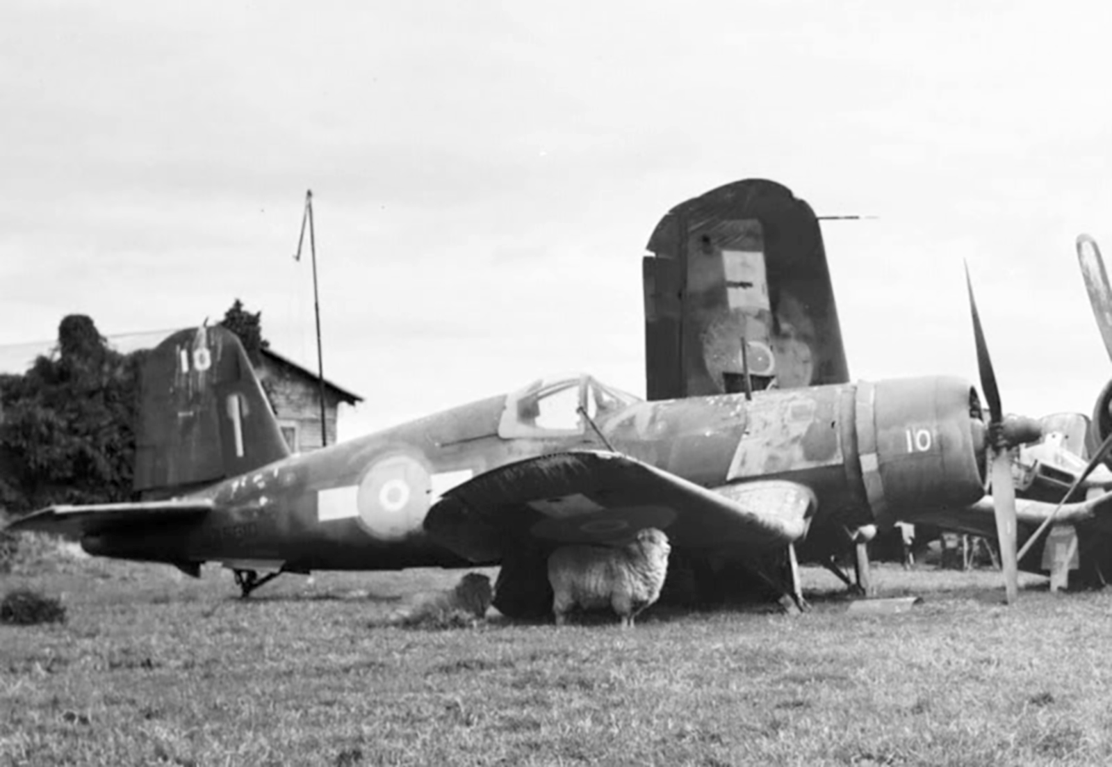 Asisbiz Goodyear FG 1D Corsair RNZAF as NZ5610 BuNo 88208 left derelict at  Rukuhia post war 01