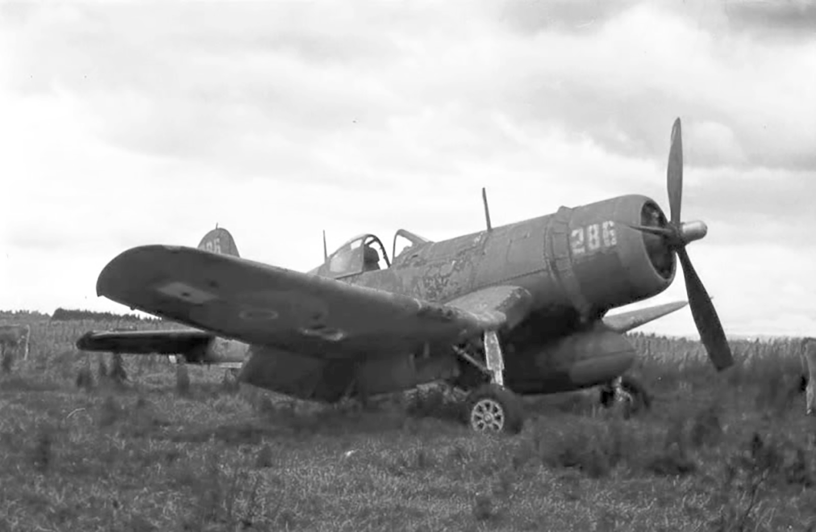 Vought F4U 1A Corsair RNZAF as NZ5286 BuNo 50078 left derelict at Rukuhia post war 01