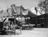 Asisbiz Vought F4U 1D Corsair RNZAF ground crew perform maintenance on a Corsair at Piva Bougainville 01