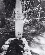 Asisbiz Aircrew USMC VMF 214 Black Sheep life and death on the islands grave of Bob Alexander 30th Sep 1943 01