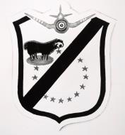 Asisbiz USMC VMF 214 approved emblem 0A