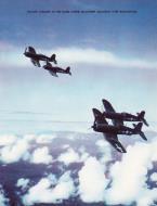 Asisbiz Vought F4U 1D Corsair VMF 214 Black Sheep White 917 over Bougainville 1943 01