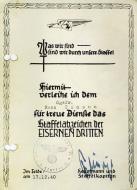 Asisbiz A 3.(F)AufklGr123 internal award given to one of its airmen P249