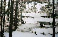 Asisbiz Dornier Do 17P 4.(F)AufklGr11 6M+xM secured in canvas covers against the inclement winter weather 01