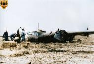 Asisbiz Dornier Do 17P 4.(F)AufklGr122 F6+HM emergency landing Noordpolder Holland Phoney War 26th Oct 1939 01