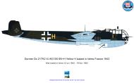 Asisbiz Dornier Do 217K2 III.KG100 6N+H Yellow H based in Istres France 1943 Warpaint 24 0A