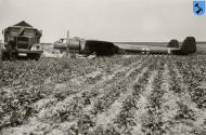 Asisbiz Dornier Do 17Z Stab II.KG2 U5+CC belly landed 01