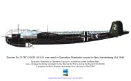 Asisbiz Dornier Do 217M1 2.KG2 U5+LK used in Operation Steinbeck Oct 1944 Warpaint 24 0A