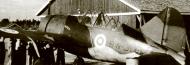 Asisbiz Brewster Buffalo MkI FAF BW384 Finland 1944 01