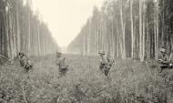Asisbiz Finnish troops cross the boarder line at the start of the Continuation War 1941