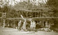 Asisbiz Fieseler Fi 156 Storch AufklGr23 Stkz 6K+Rx well concealed under its camouflage netting 1940 ebay 01