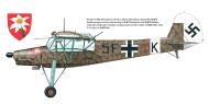 Asisbiz Fieseler Fi 156C3Trop Storch 2.(H)Pz14 5F+YK North Africa 1941 profile FSM 178 2014 09 P33
