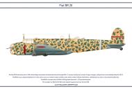 Asisbiz Fiat Br20 Ruth Imperial Japanese Army Air Force 98th Sentai Manchuria Summer 1938 0A